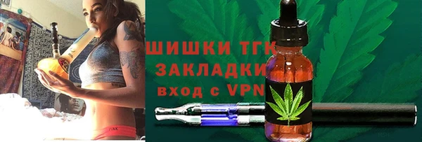 стафф Арсеньев