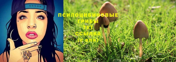 тгк Аркадак