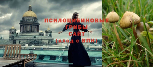 Альфа ПВП Армянск
