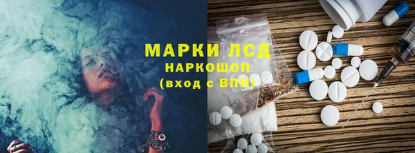 стафф Арсеньев