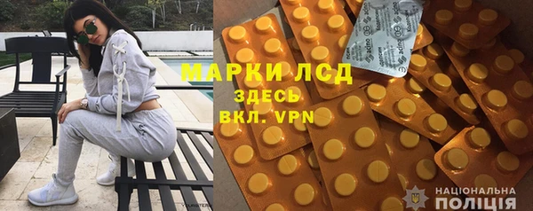 стафф Арсеньев