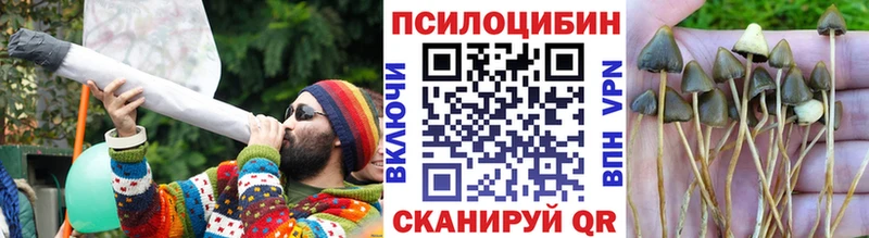 Псилоцибиновые грибы Psilocybine cubensis  это Telegram  Соликамск 
